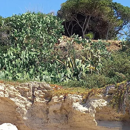 Apartment Meerblick-ferienhaus Casa Gino Apulien San Pietro in Bevagna