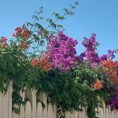 Meerblick-ferienhaus Casa Gino Apulien Apartment San Pietro in Bevagna