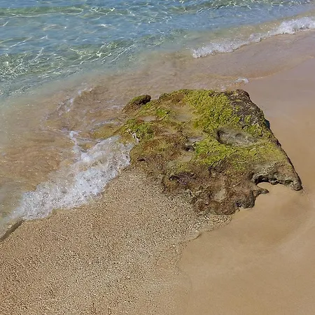 Apartment Meerblick-ferienhaus Casa Gino Apulien San Pietro in Bevagna